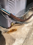 Air Conditioning Repair Tucson